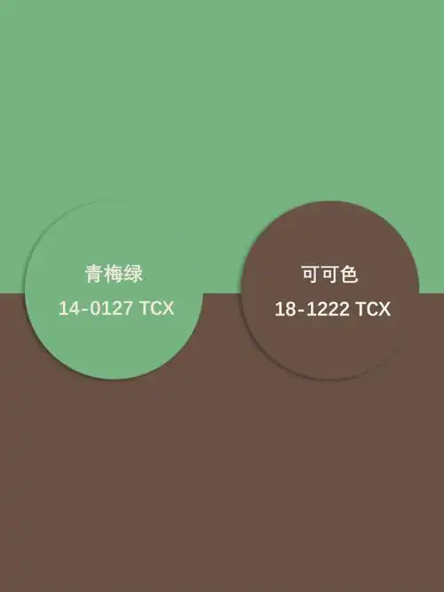 没有咖啡色不能搭的颜色/百搭的咖啡色/#高级感配色  #配色灵感