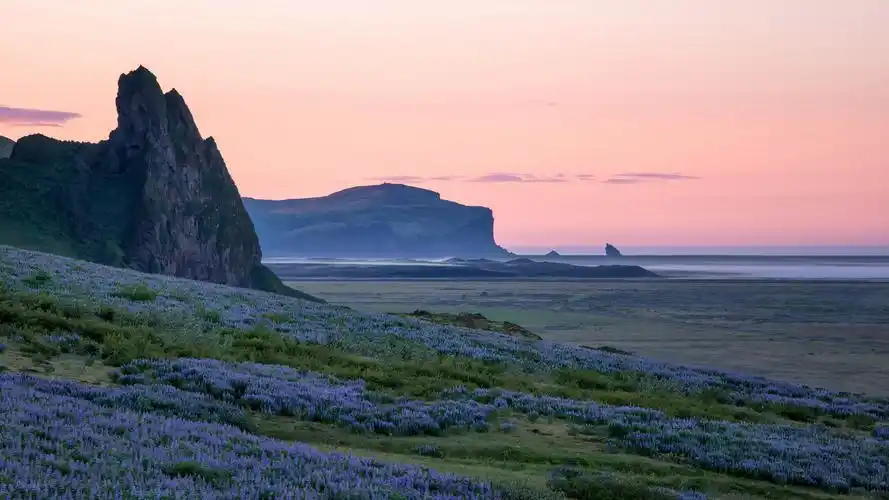 海岸,冰岛南部,北极,沙滩,黎明,雾,风景桌面壁纸