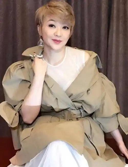 陈慧娴与梅艳芳争霸失败,退出歌坛赴美,多年后陈慧娴说内情