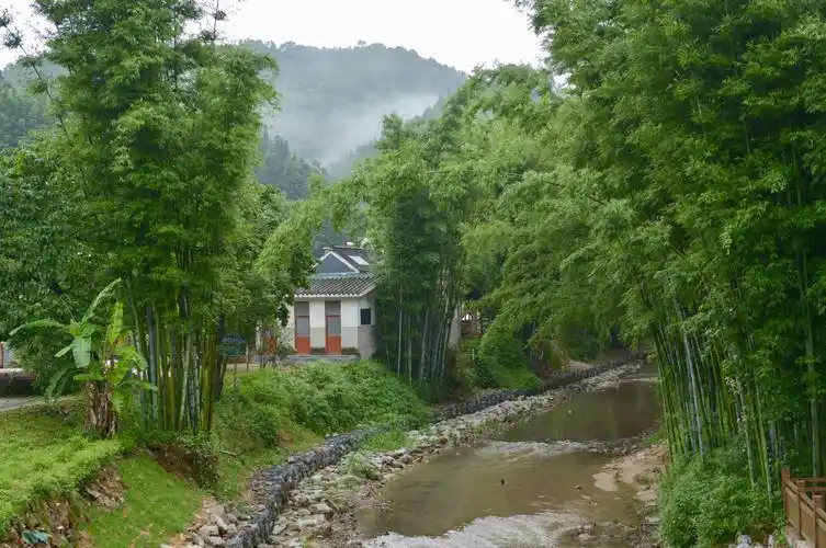 云雾山下,流水淙淙,竹林深处,鸡鸣声声!