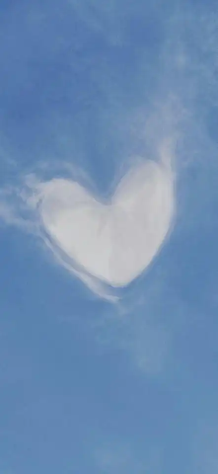 如沐春风的优雅句子,唯美干净,抚慰心灵