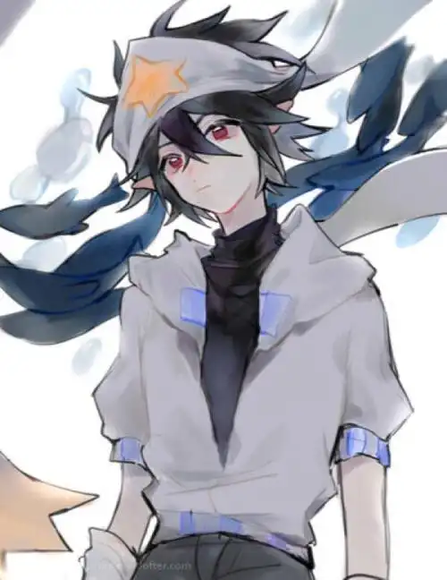 凹凸世界头像————-雷狮篇