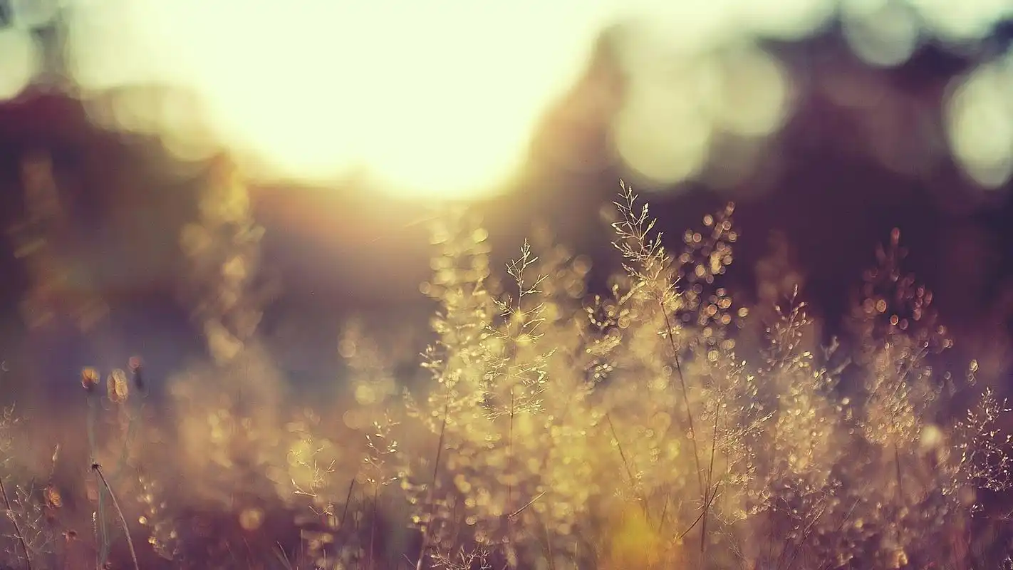 唯美朦胧意境风景图片桌面壁纸