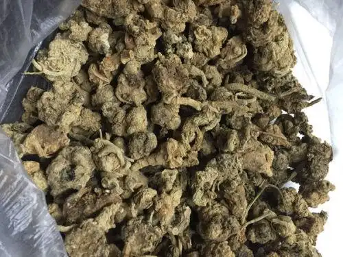 这样的三七是发霉的吗?