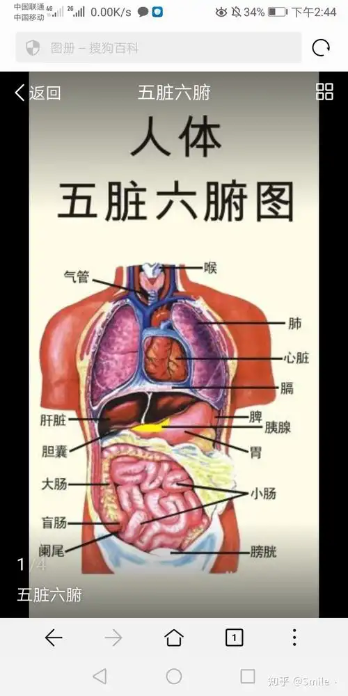 五行学说之五脏五行