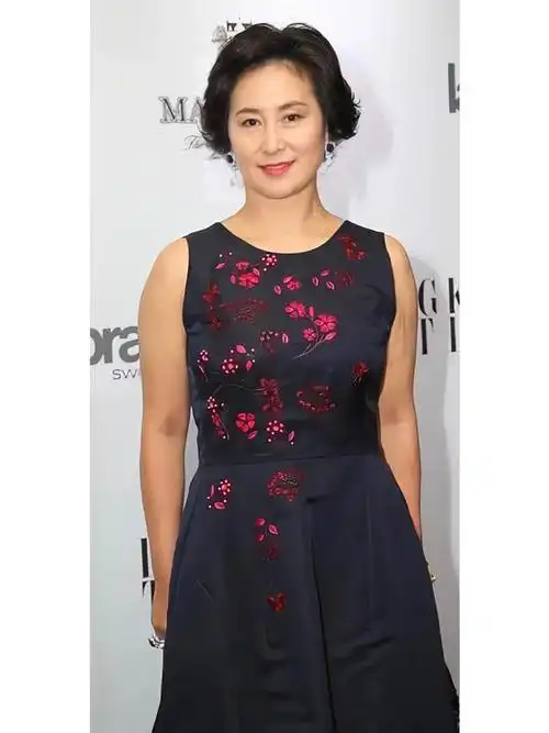 60岁何超琼的精致打扮:短发时尚,裙搭丝袜,更有气质