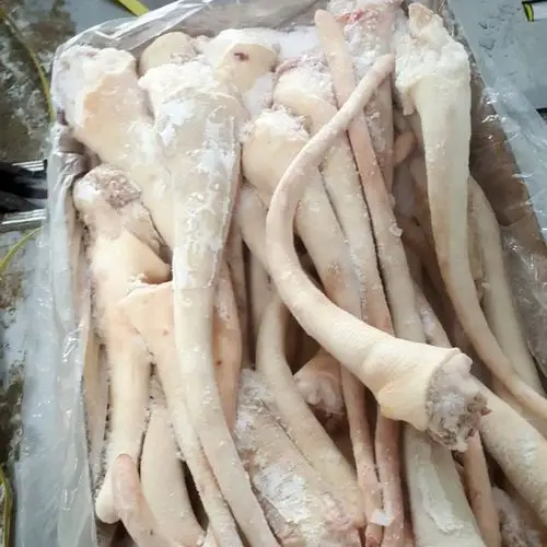 厂家供应猪尾巴 猪长尾巴 猪尾猪肉 猪副 冷冻猪肉产品熬汤专用