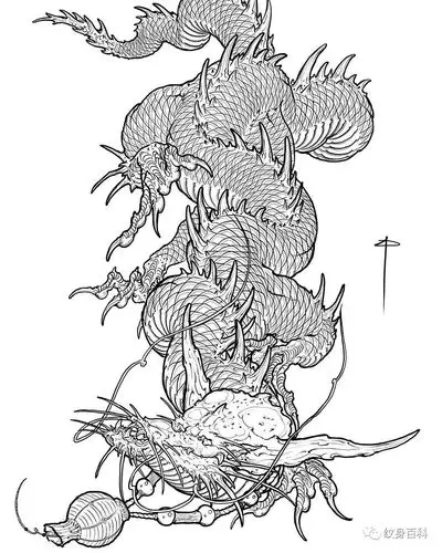 纹身手稿 | 龙线稿_线条