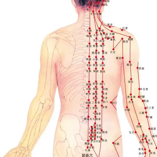 玉衡总部李氏砭法 互刮分享第六次课