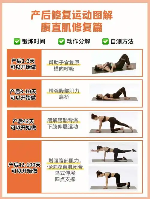 腹直肌修复篇73详细动作图解92get小蛮腰