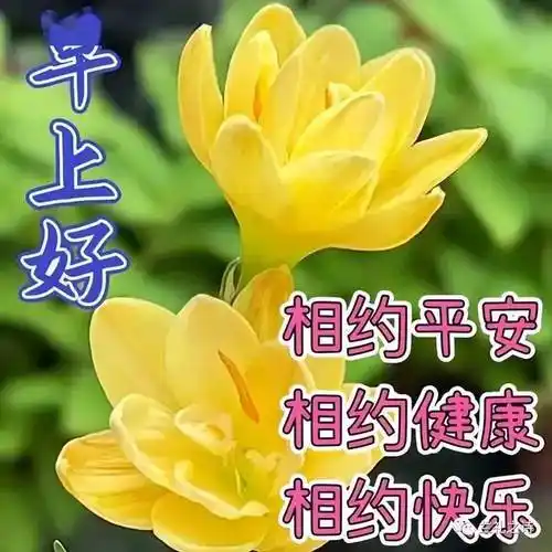 真诚送上祝福,愿心愿和祈愿,祝福朋友幸福长久,友谊长存,万事顺心如意