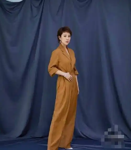 海清出席某活动,一改齐刘海的碎发发型,换成一款偏分的款式还染了新发