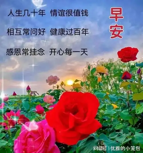 20231115早安祝福早安心语早安图片