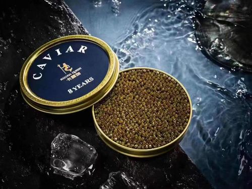 卡露伽黑鱼子酱西伯利亚鲟鲟鱼籽酱caviar 10g鱼子酱 餐饮用盒装