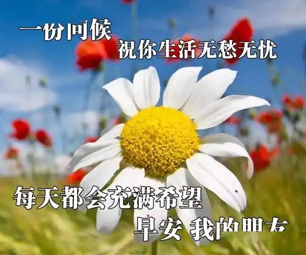 周一清晨祝福语暖心句子送给朋友早安问候语最美动态图片带字