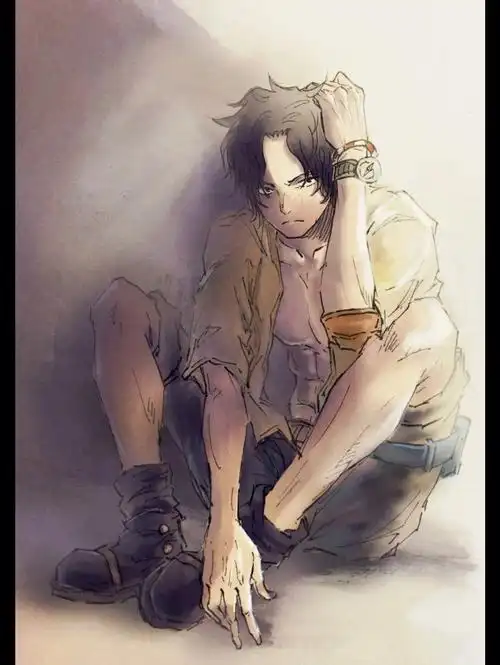 昨晚做梦梦到艾斯复活了,但是有条件,结果我和路飞还是没救到他