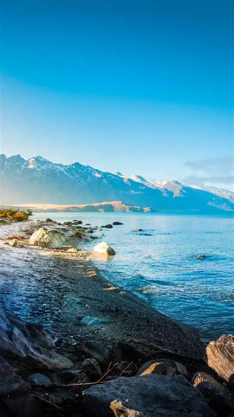 474_842竖版 竖屏