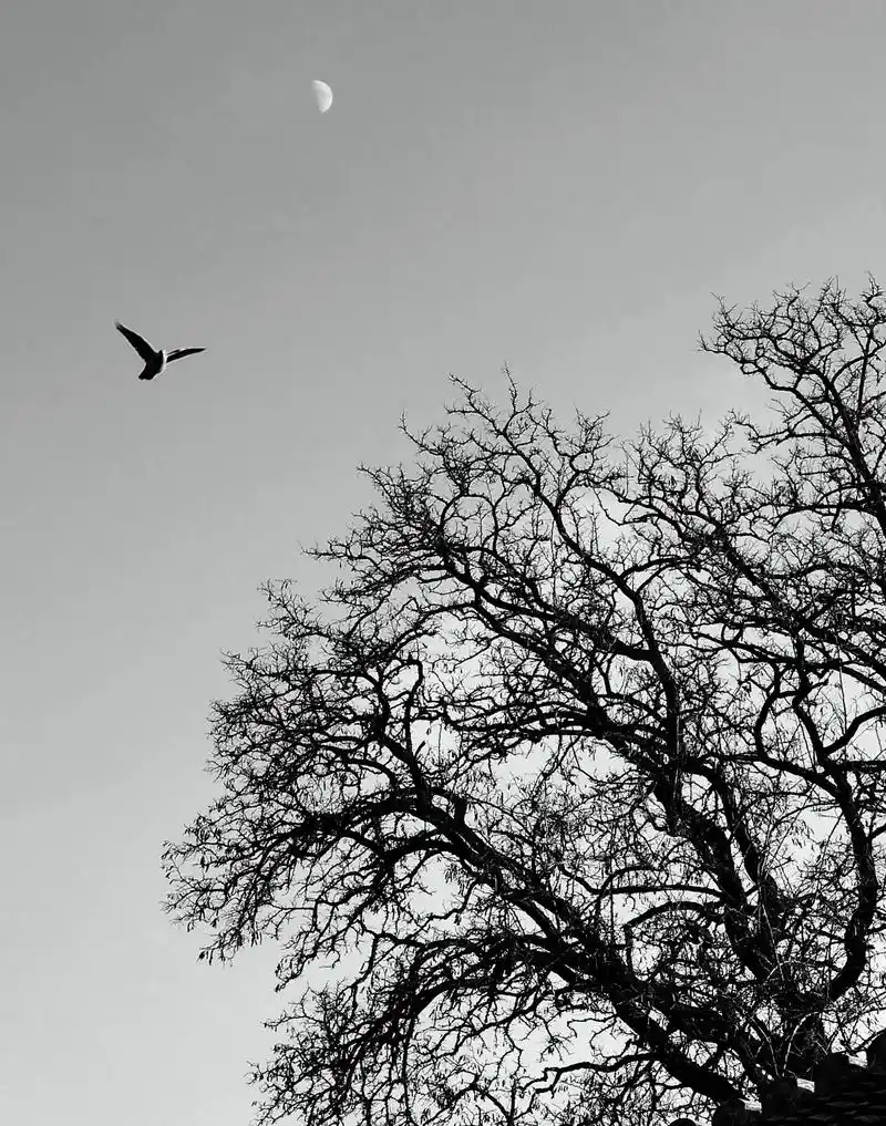 北京风景建筑黑白摄影