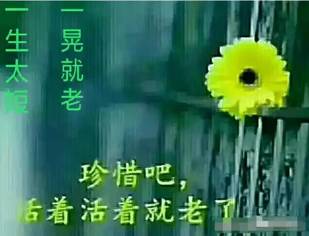 一生太短,一晃就老!_人生