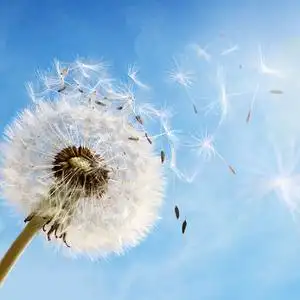 5820 微信一删,从新开始新生活吧 一个不懂珍惜你的人,就别想他会回头