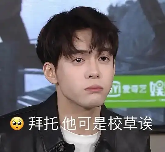 家人们,把你们最爱的终极笔记表情包给我可以吗