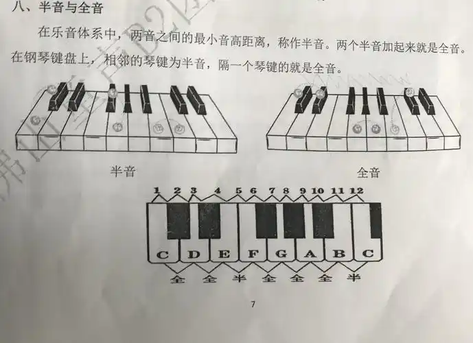 接着我们学会区分"半音"与"全音".(还有它的小口诀)