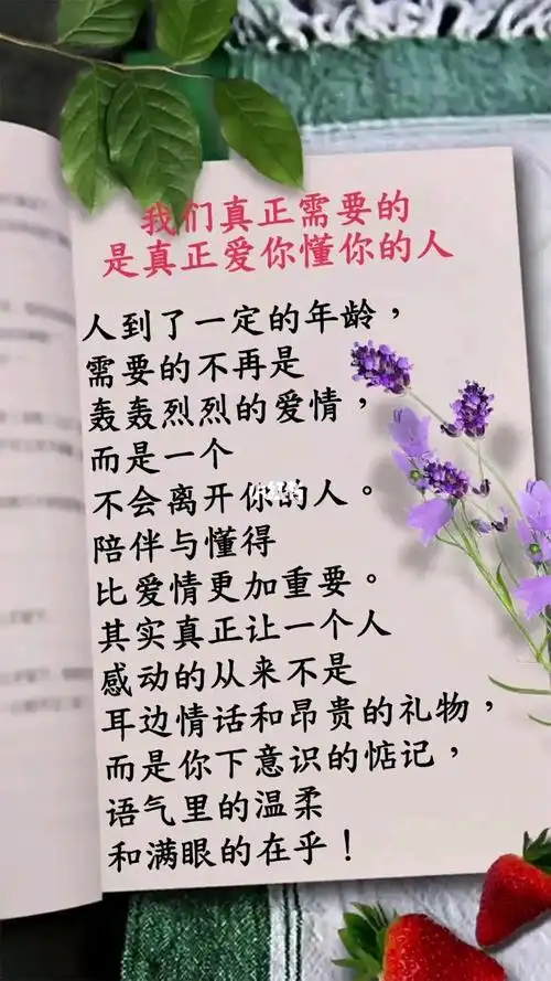 真正需要的是懂你爱你的人_书单_人生感悟_文案_语录_礼物_情感语录