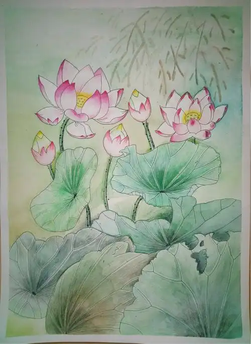 初一(15)班 黄期媛 荷塘清色