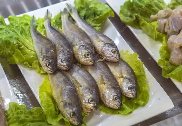 海鱼摄影图高清摄影大图-千库网