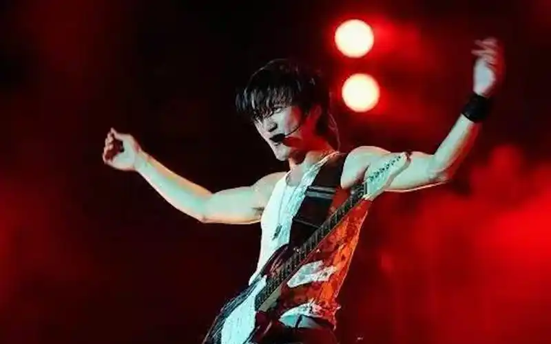 收藏级实在是帅谢霆锋n个活着viva现场高燃混剪