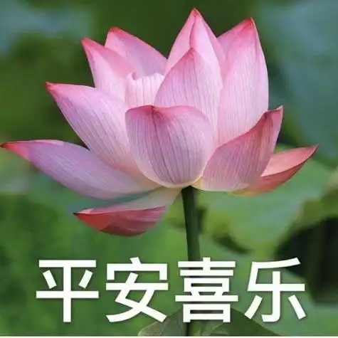 适合父母头像的图片 微信头像图片大全 -【爱个性】