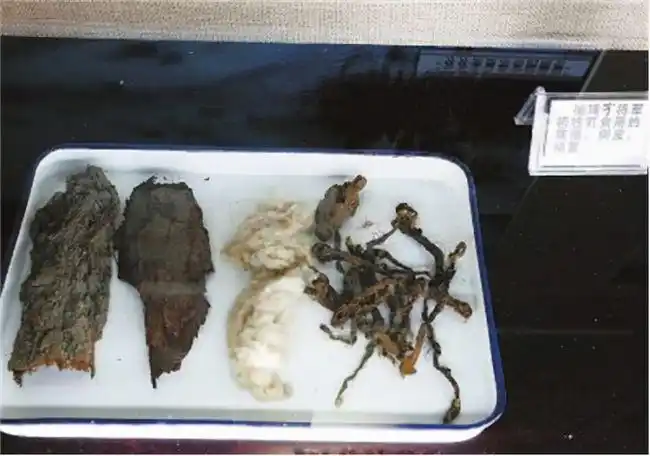 杨靖宇牺牲后被剖尸,日本将领当场流泪,回国之后杀妻儿切腹自尽