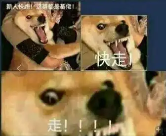 doge_基佬_這群_新人表情哥们我看你尴尬才理你,快走吧,等下我也不理