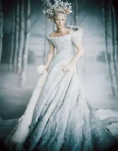 《纳尼亚传奇》中,蒂尔达·斯文顿饰演了白女巫,清冷高贵.