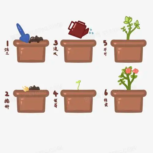 卡通植物生长过程图素材