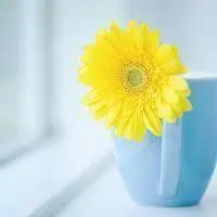 清新风景qq头像简单好看的小清新风景qq头像图片