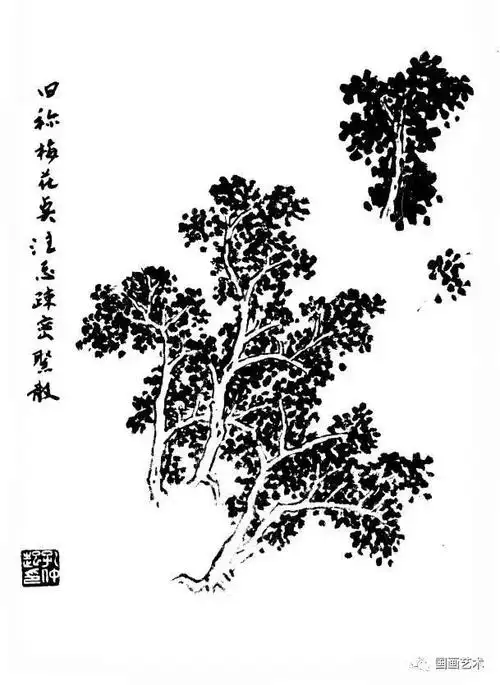 白描百树画谱,中国名家示范树木的画法!国画各种树的画法