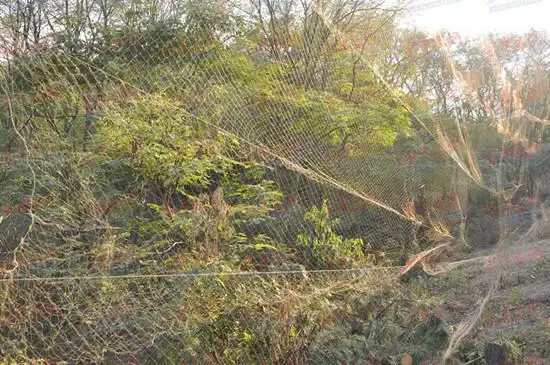 曲/斗鹌鹑/雀儿遭祸