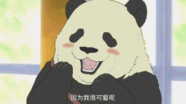 找熊猫行动已经全面升级这次你还能找到吗