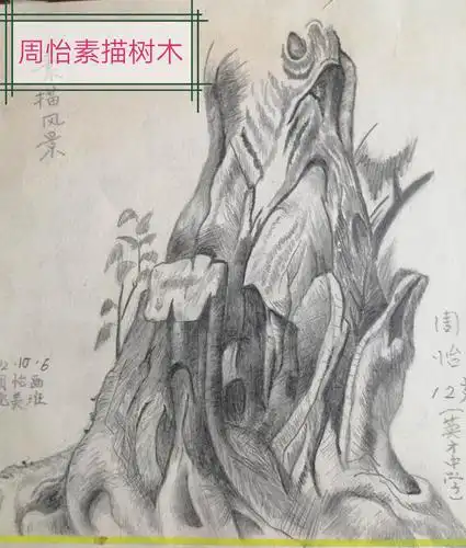 周怡素描树根