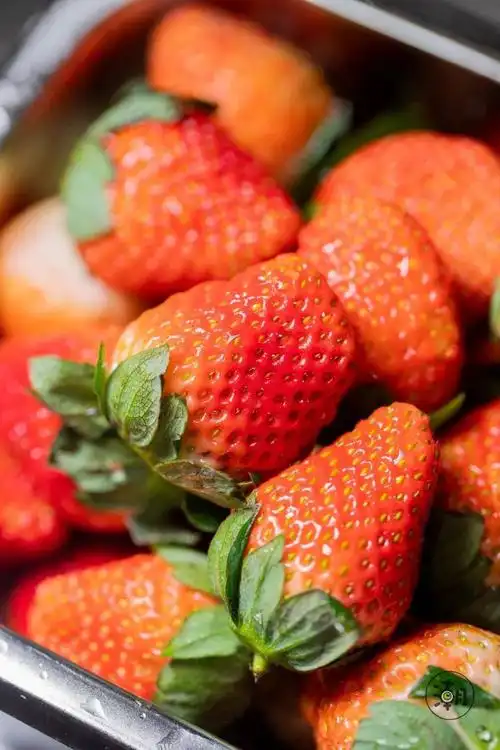 「圈粉草莓」来啦!冬季限定少女心!