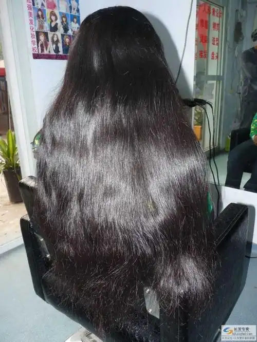虽然年龄不大,头发相当粗厚!一刀剪下,长度为60多厘米!