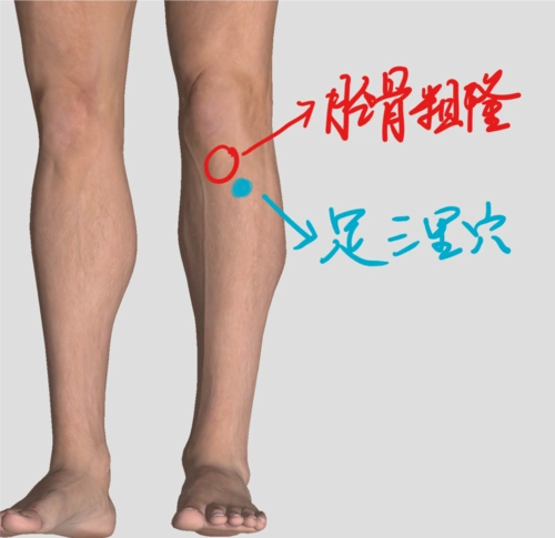 春季灭火必备健康手册