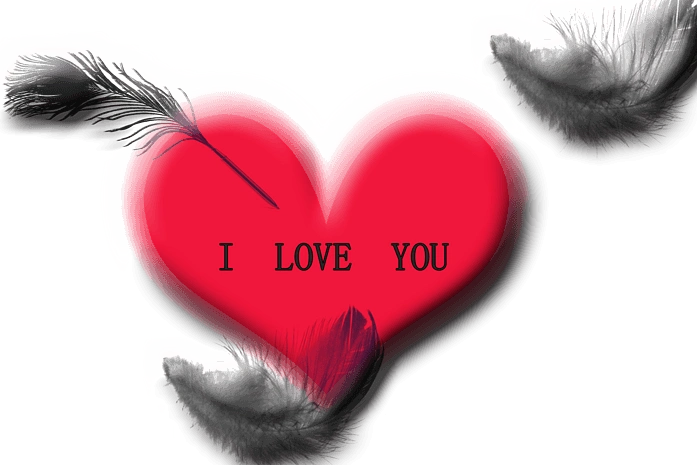 写着英文我爱你的大红心