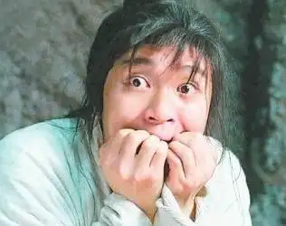 我的自白书为什么选了果蝇完