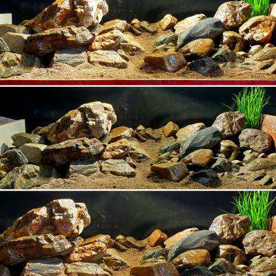 溪流原生缸造景 溪流石天然鹅卵石鱼缸造景组合石头套餐三湖慈z.