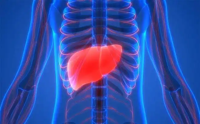 乙肝病毒携带者肝区疼省医表妹是否为乙肝发病看疼痛的特点