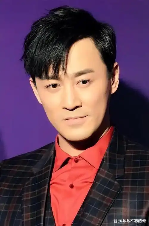 部分网民对林峰在音乐会上的发型,身型和造型表示不满,认为他变得油腻