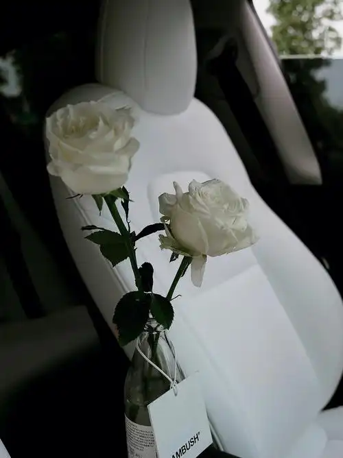 关于我在特斯拉车里养花这件事tesla牌花瓶