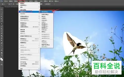 如何通过ps合并两张图片